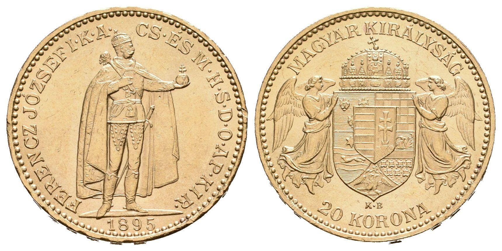20 Koruna 1895 KB