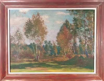 Kaván František - Břízy