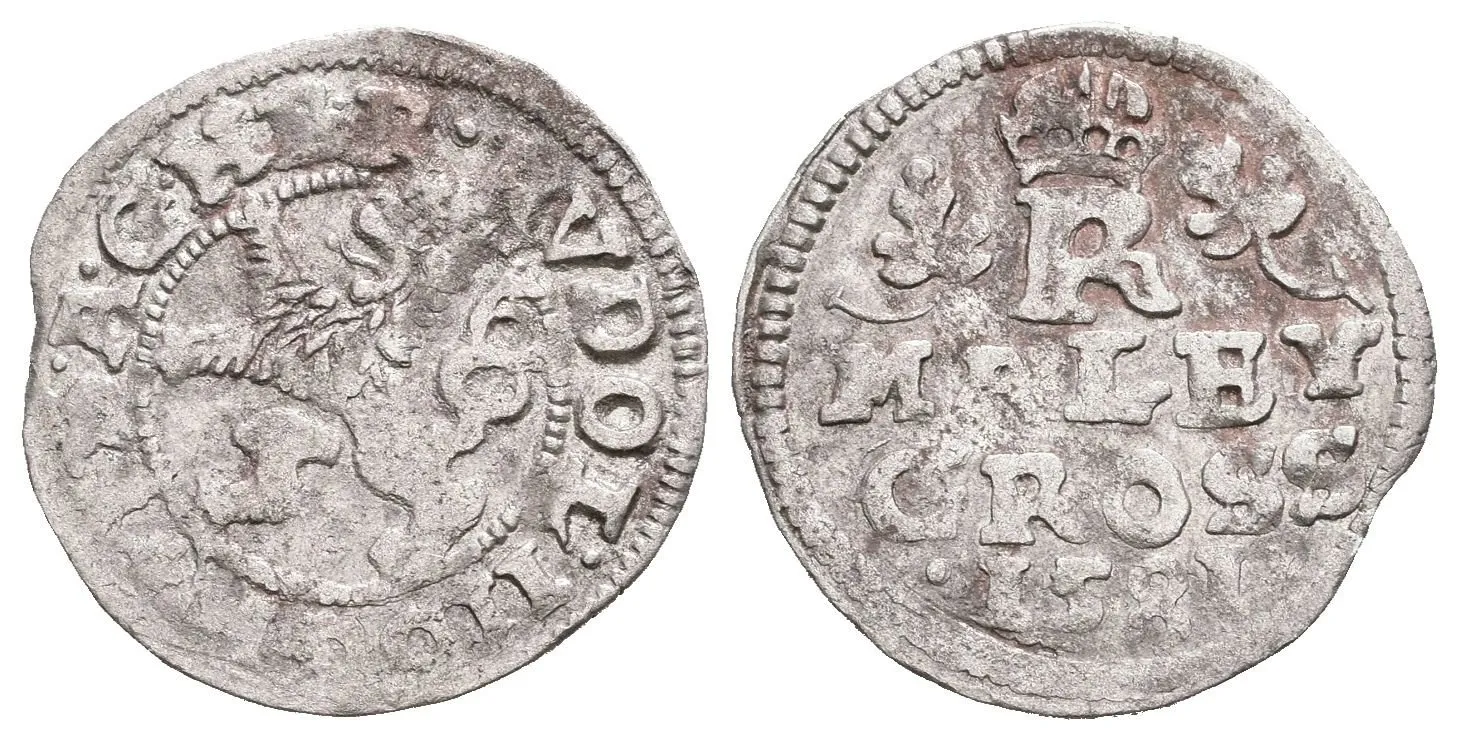 Malý groš 1581, České Budějovice-Schönfeld, HN.11 (opis 7a), patina, ned., koncový střížek_R! — 1