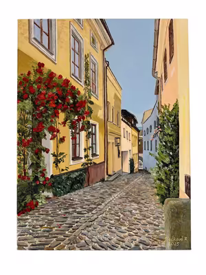 Slečková Radka - Radka Slečková - Kozí ulička, Olomoucké motivy