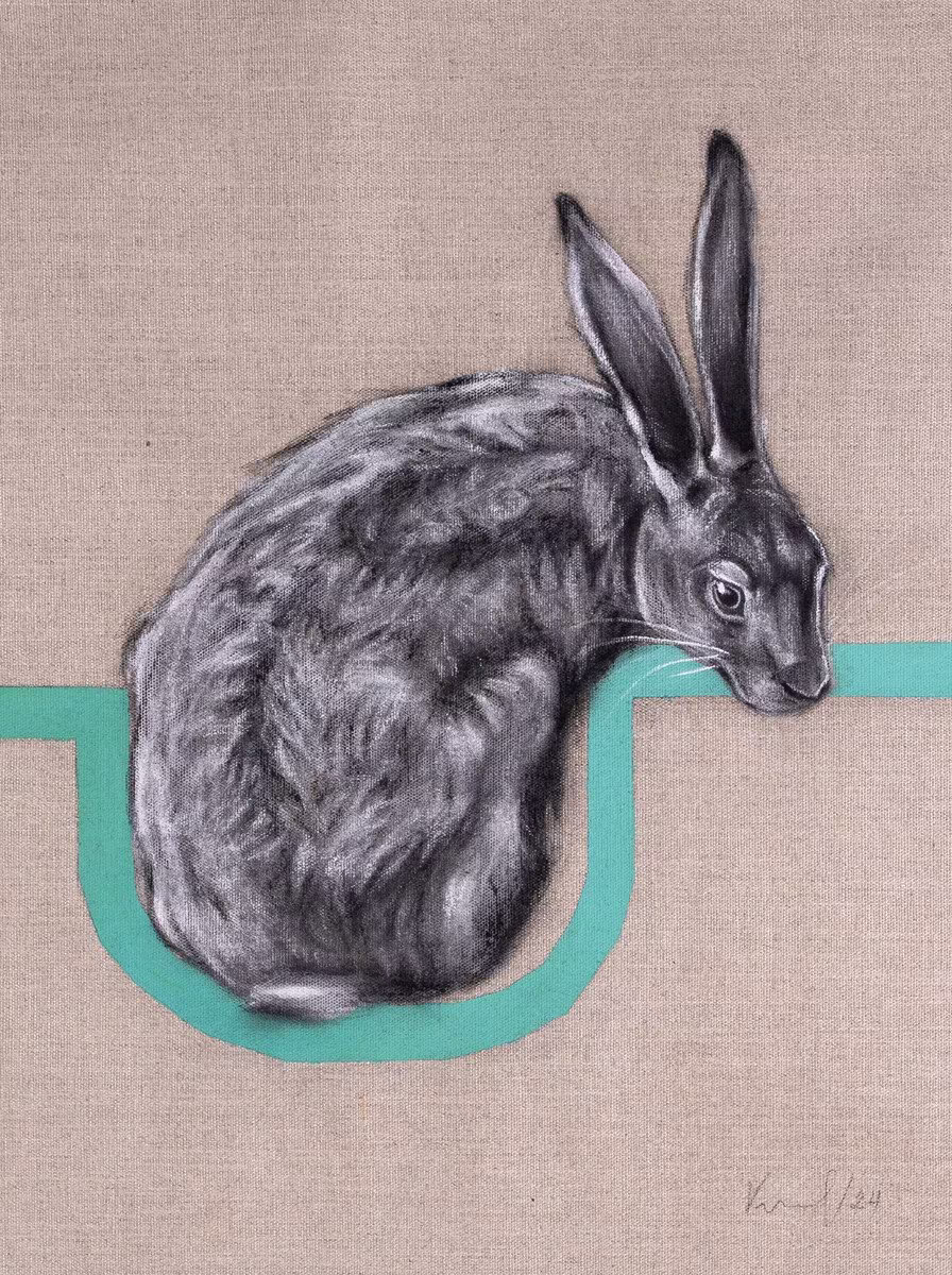 Bunny in its Hole