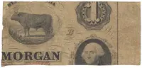 USA, Georgia, Savannah, 50 Cents  28. 4. 1862 - fotografie 2