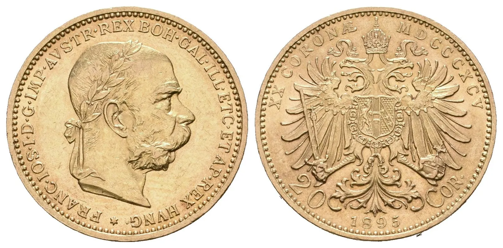 20 Koruna 1895