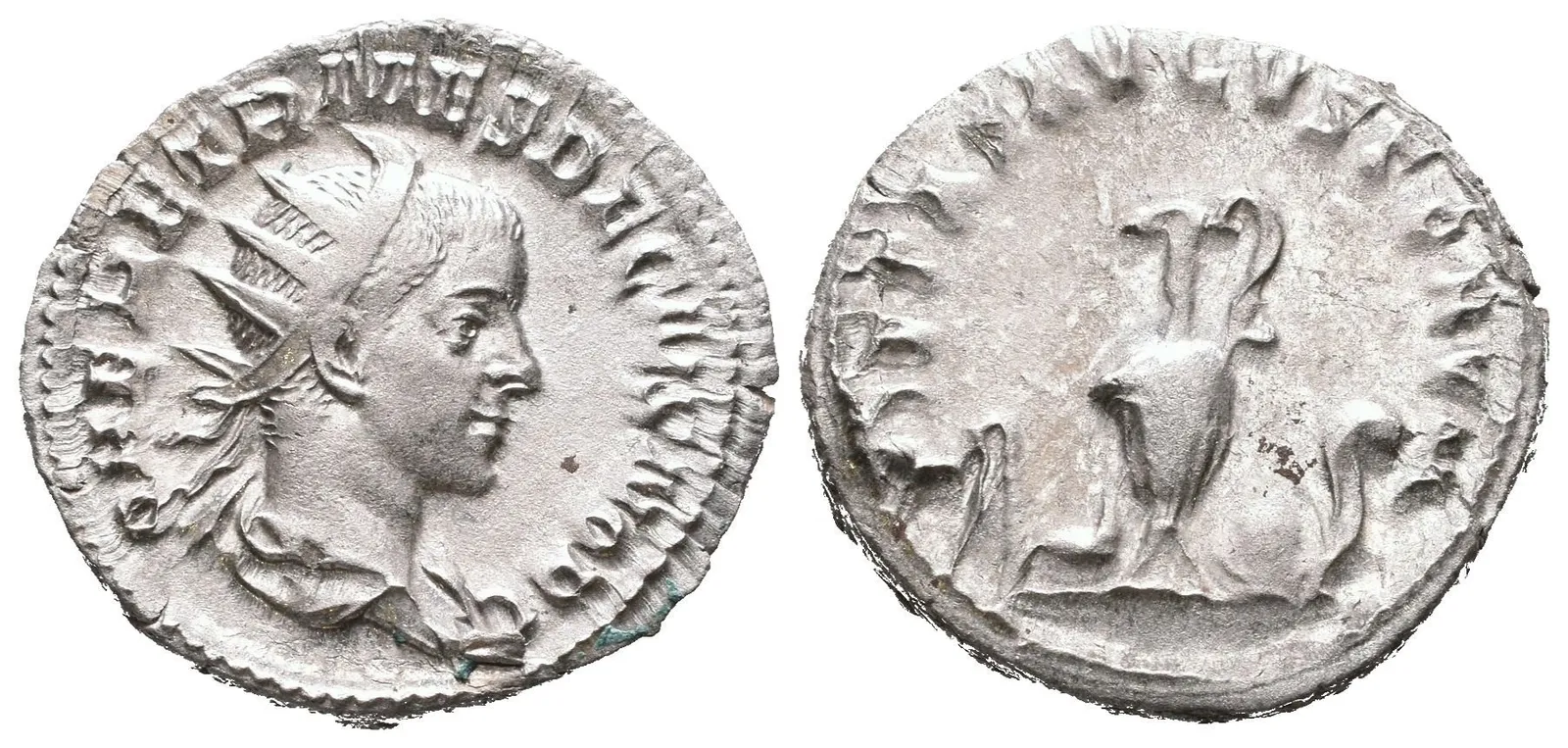 Antoninian, Rv: PIETAS AVGVSTORVM, aspergillum, simpulum, konvice, štít — 1