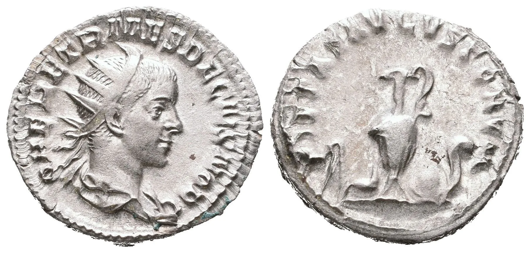 Antoninian, Rv: PIETAS AVGVSTORVM, aspergillum, simpulum, konvice, štít — 1