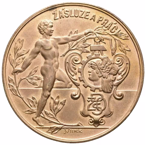 AE Medaile 1924 (Stehlík) - Ústřední výstava dorostu Čsl. živnostensko-obchodnické strany
