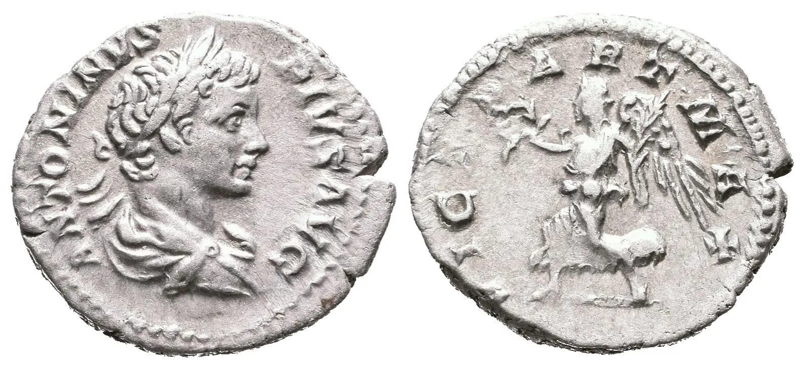 Denár, 201 - 206, Rv: VICT PART MAX, kráčející Victoria doleva drží palmu a věnec, — 1