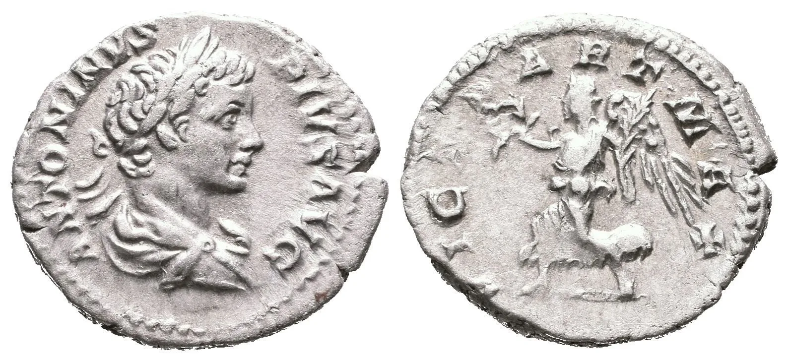 Denár, 201 - 206, Rv: VICT PART MAX, kráčející Victoria doleva drží palmu a věnec, — 1