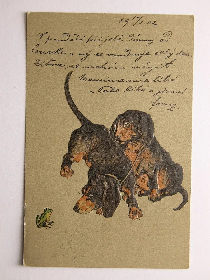 Fauna, zvířata, živočichové — 1