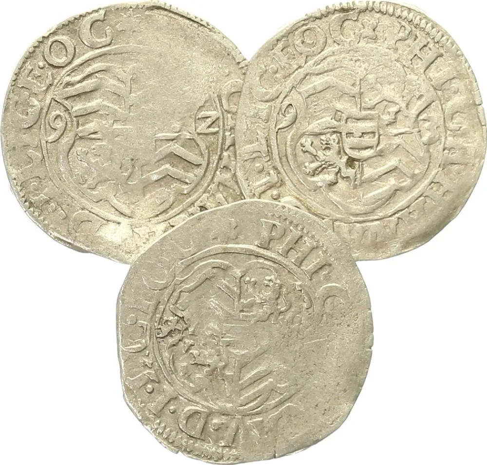 Hanau - Lichtenberg, Philipp V., 1590 - 1599 — 1