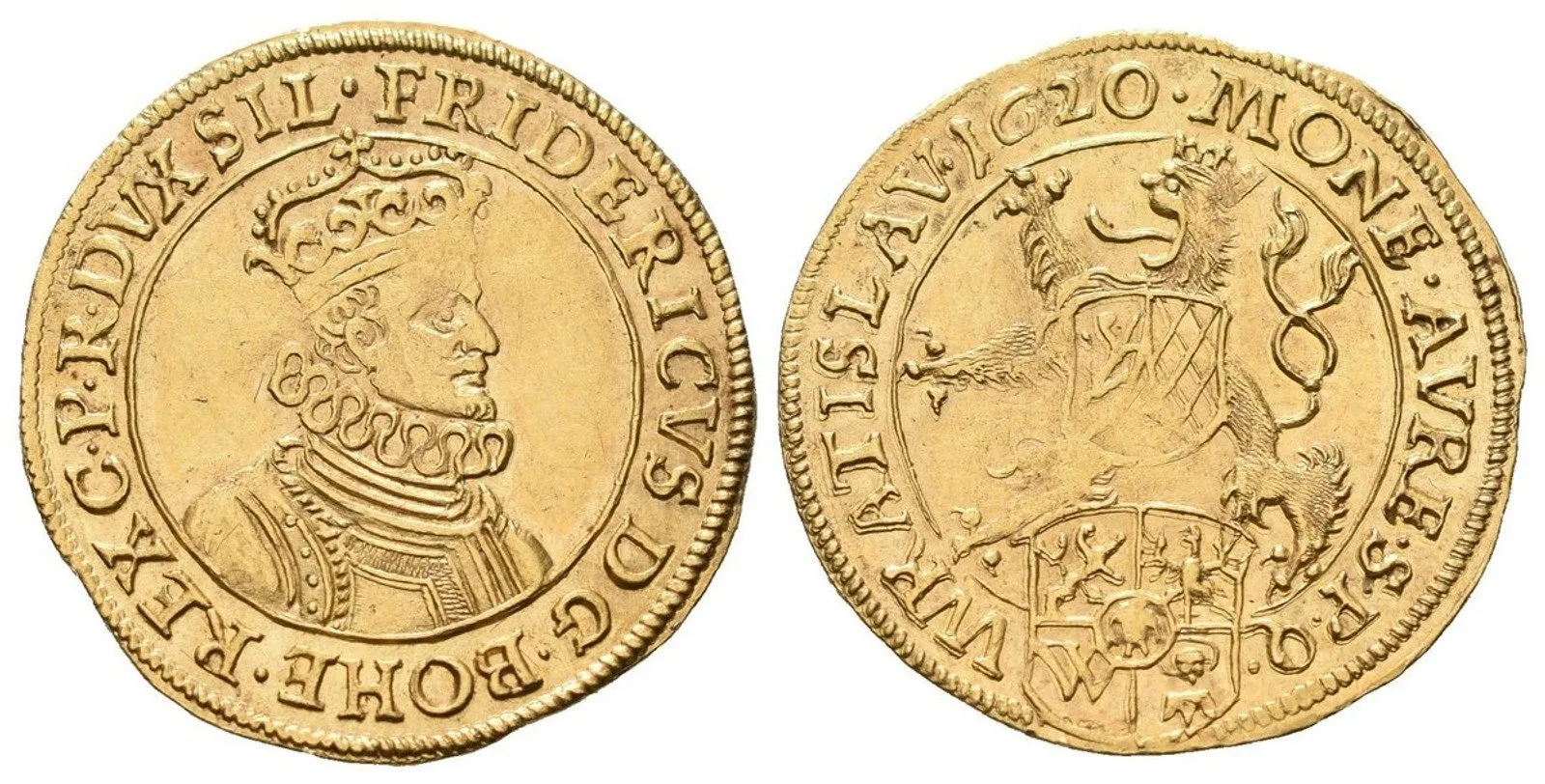 Fridrich Falcký, 1619 - 1620 — 1