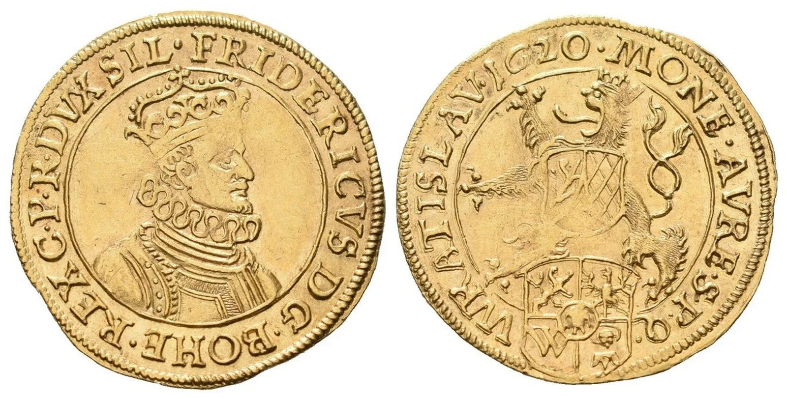 Fridrich Falcký, 1619 - 1620 — 1
