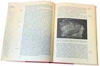 Základy Numismatiky - fotografie 2
