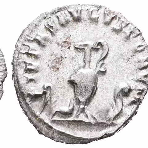Antoninian, Rv: PIETAS AVGVSTORVM, aspergillum, simpulum, konvice, štít