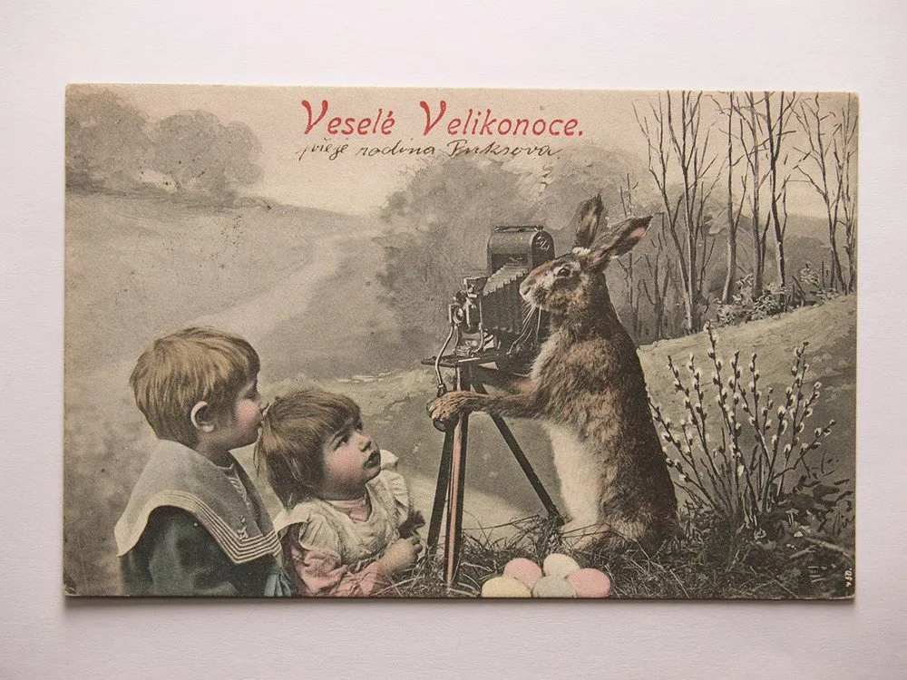 Přání - Velikonoce, Zajíc fotograf — 1
