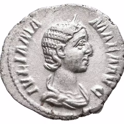 Denár, Rv: VESTA, stojící Vesta zleva drží palladium a žezlo, RIC.360 (Alex. Severus),