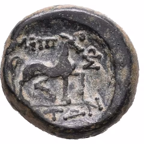 AE Chalkon(?), Magnetes, 197 - 146 př. Kr., Hlava Dia s diadémem zprava / Kráčející
