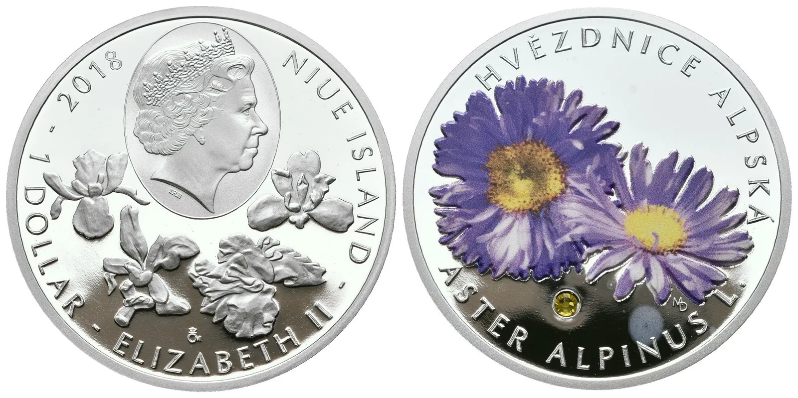 Dašek Martin - Hvězdnice Alpská