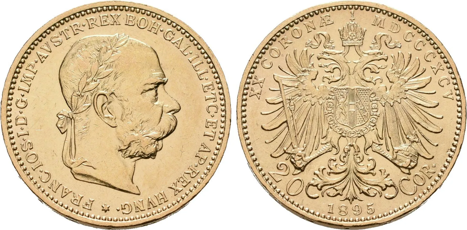 20 Koruna 1895