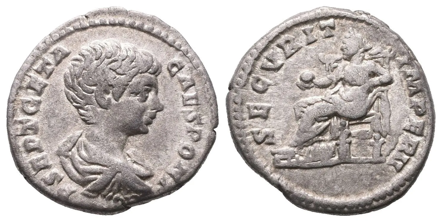 Geta, Denár, RIC. 20b