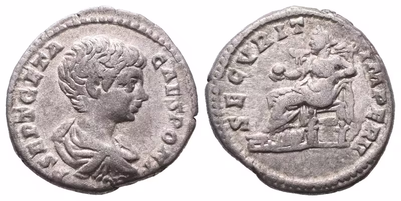 Geta, Denár, RIC. 20b