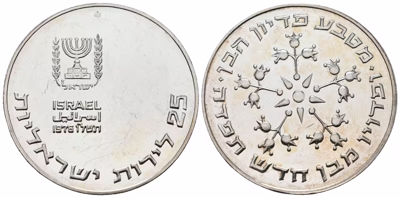 Israel, 25 Lirot 1976