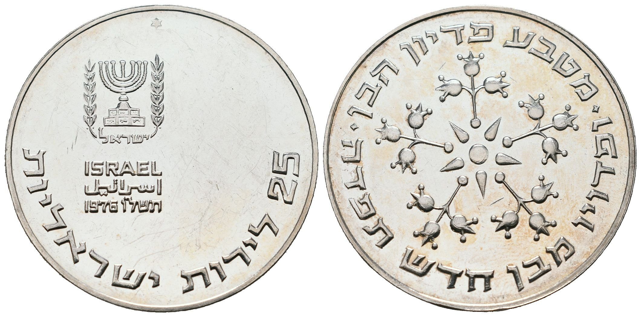 Israel, 25 Lirot 1976