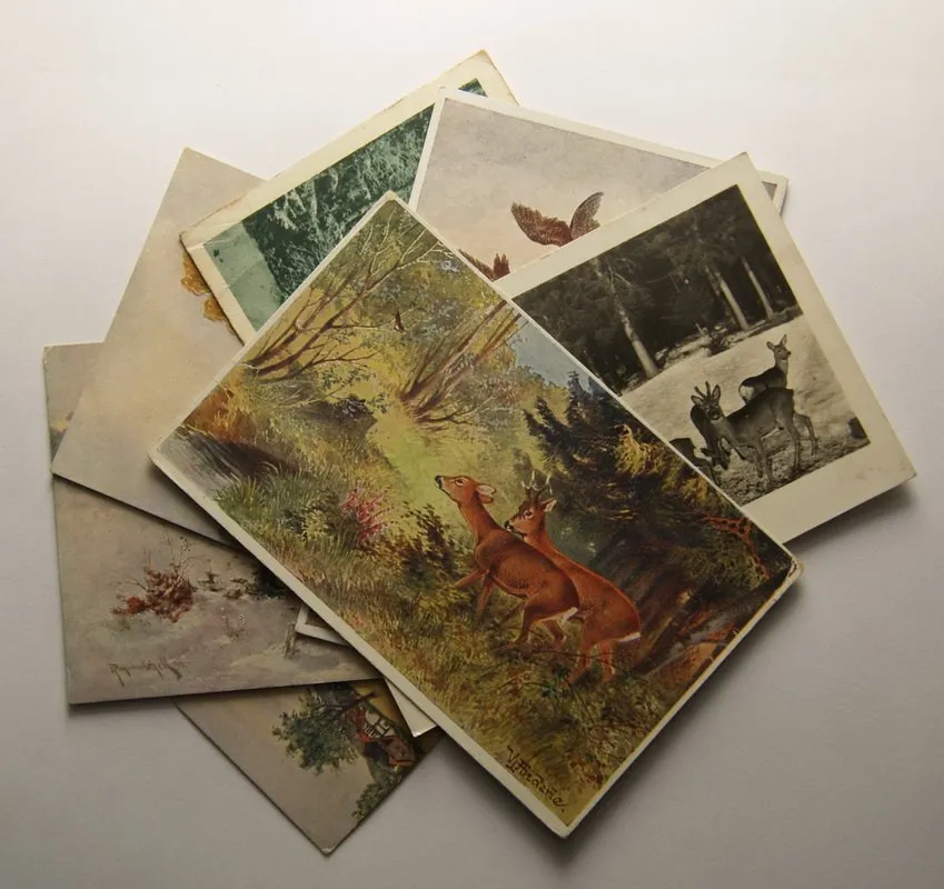 Žánr, motiv - sbírky, loty, partie — 1