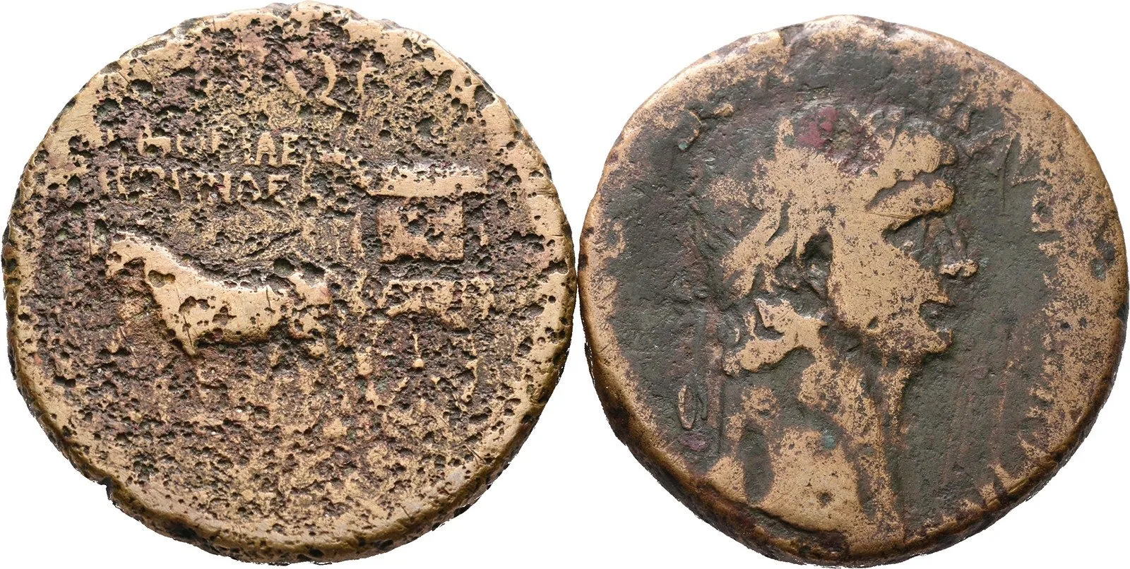 Agrippina senior, matka Caliguly — 1