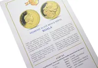 Kanada, 5 Dollars 2008 - Koala - fotografie 2