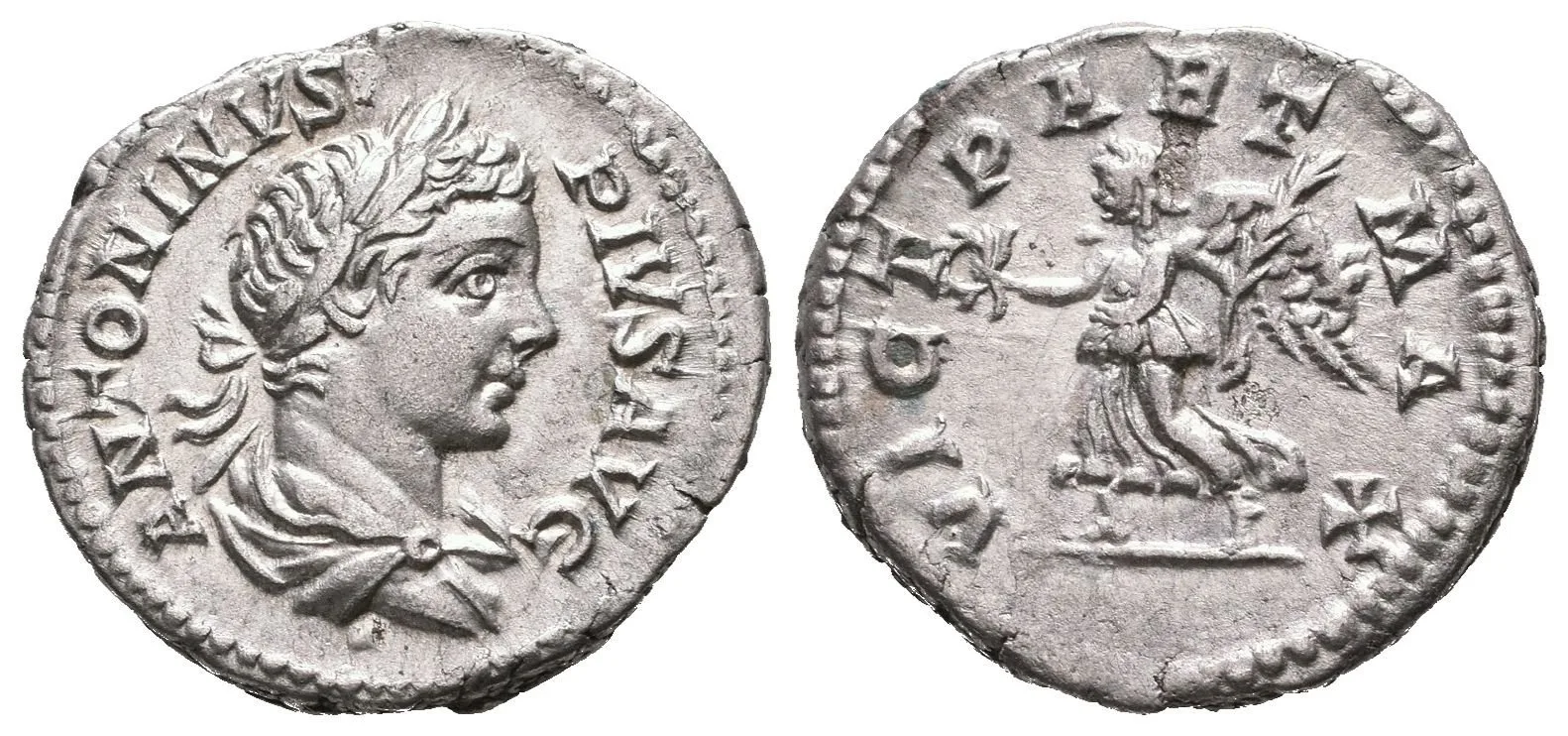 Denár, 201 - 206, Rv: VICT PART MAX, kráčející Victoria doleva drží palmu a věnec, — 1