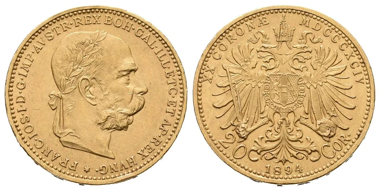 20 Koruna 1894