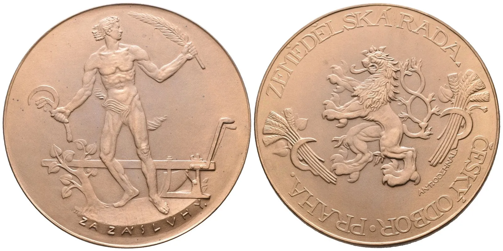 AE Medaile b.l. - Záslužná medaile Zemědělské rady, Český odbor - Praha, — 1