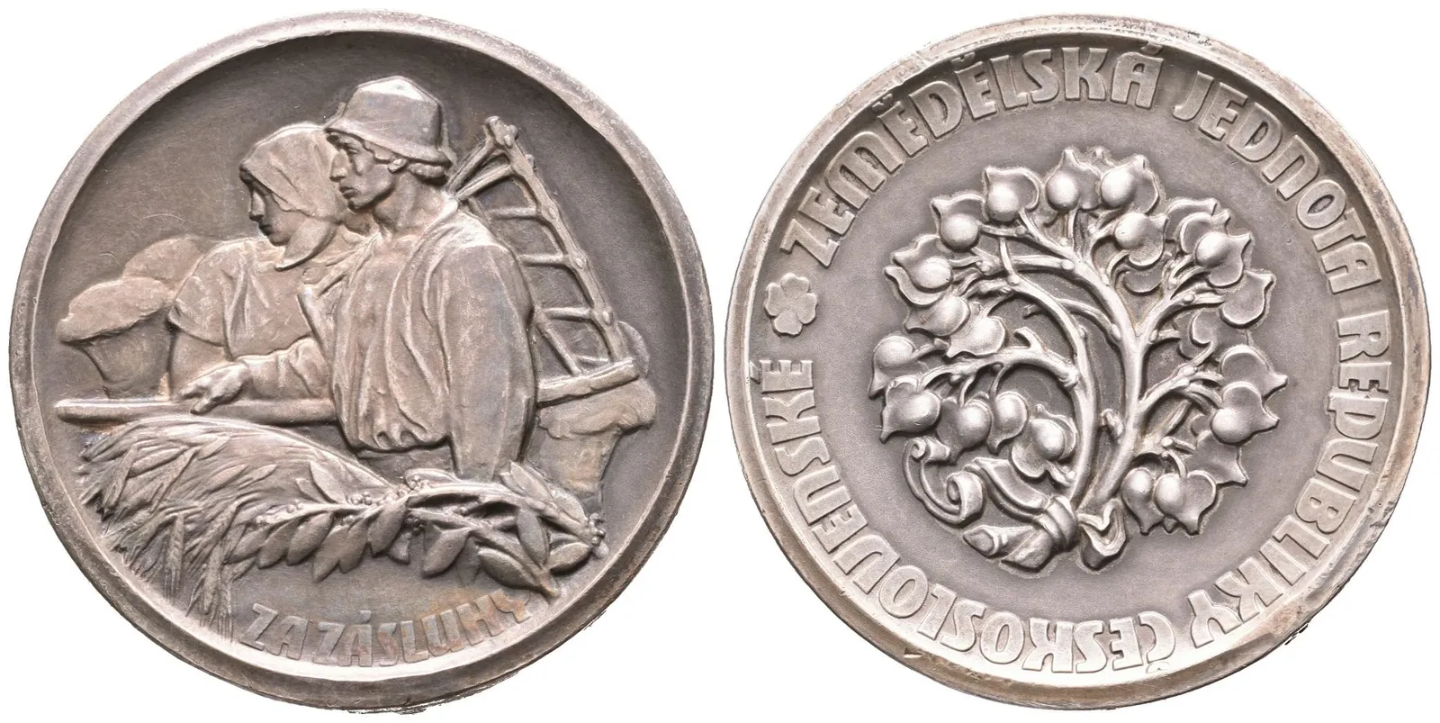 AR Medaile b.l. (Nesig.) - Záslužná medaile Zemědělské jednoty republiky Československé, — 1