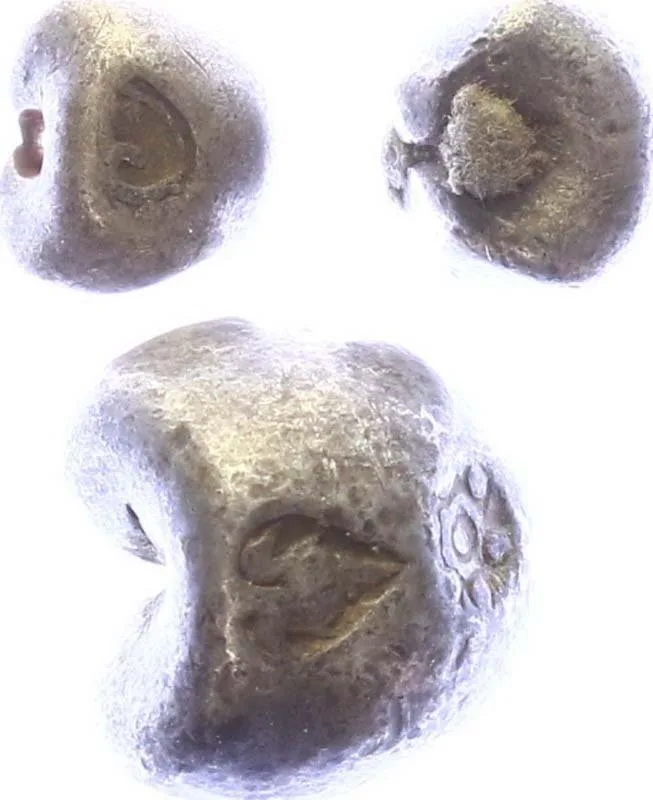 Thajsko, Rama IV., 1851 - 1868 — 1