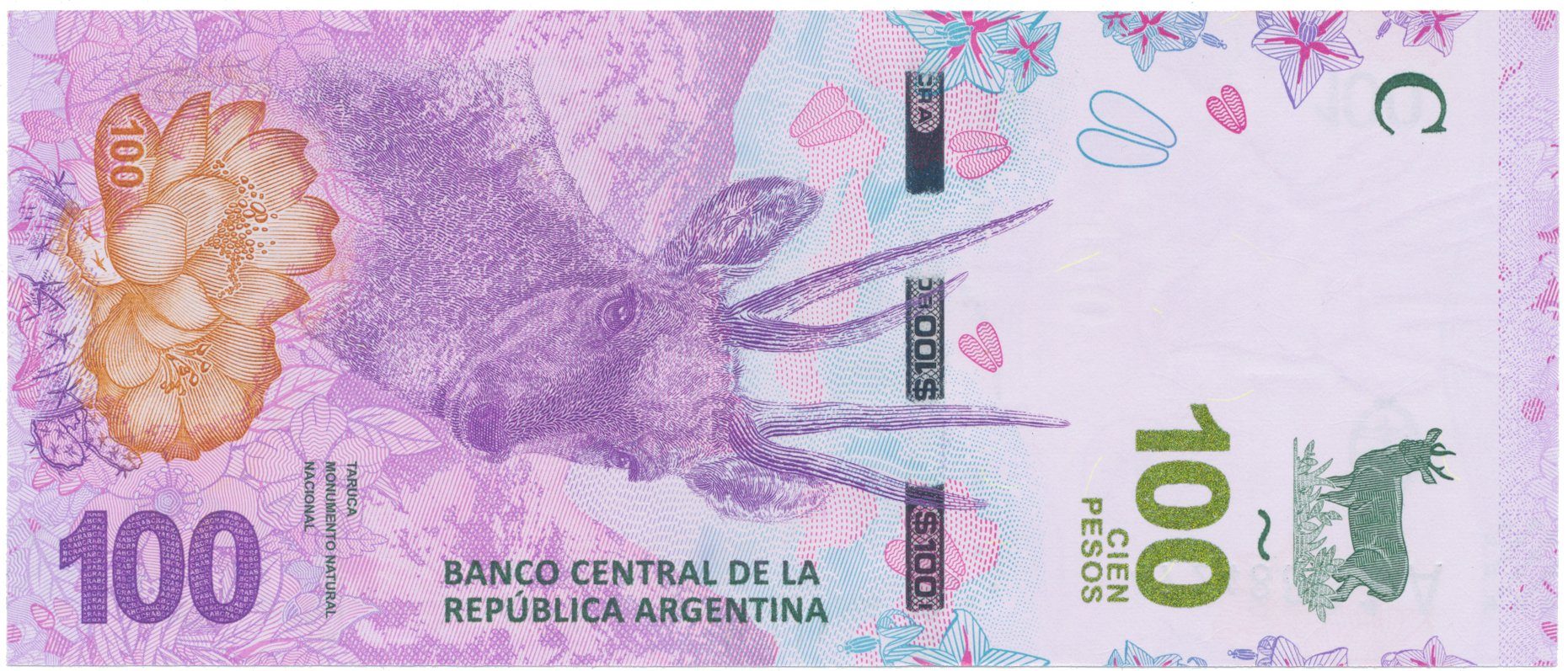 Argentina, 100 Pesos (2018-2019), P.363A