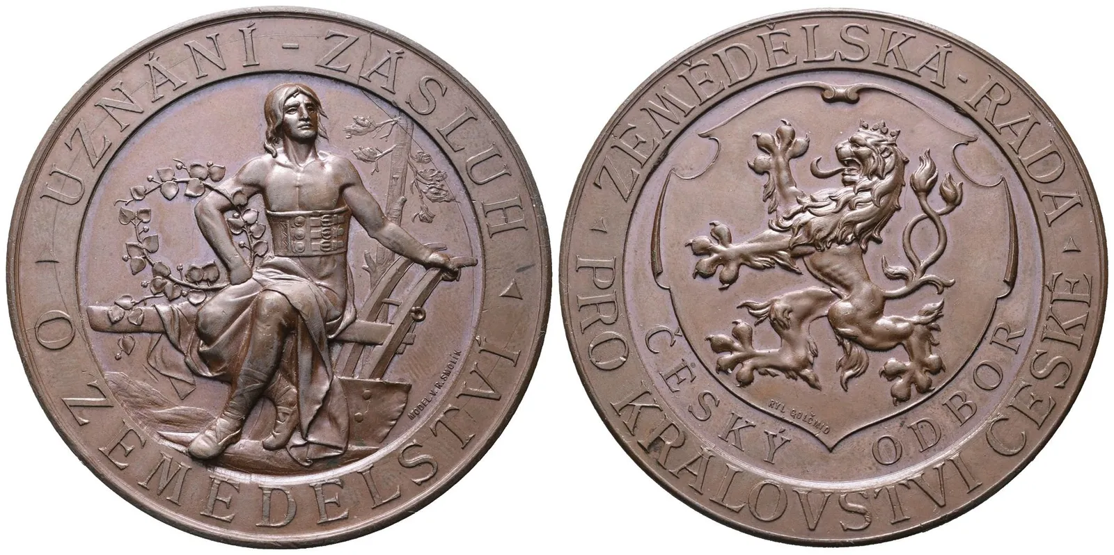 AE Medaile b.l. (1893) - Zemědělská rada pro království české, Br 55 mm