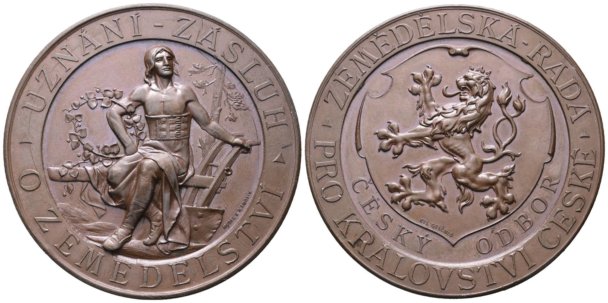AE Medaile b.l. (1893) - Zemědělská rada pro království české, Br 55 mm