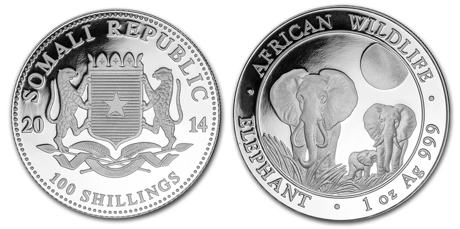 Somálsko, 100 Schillings 2014 - Slon africký