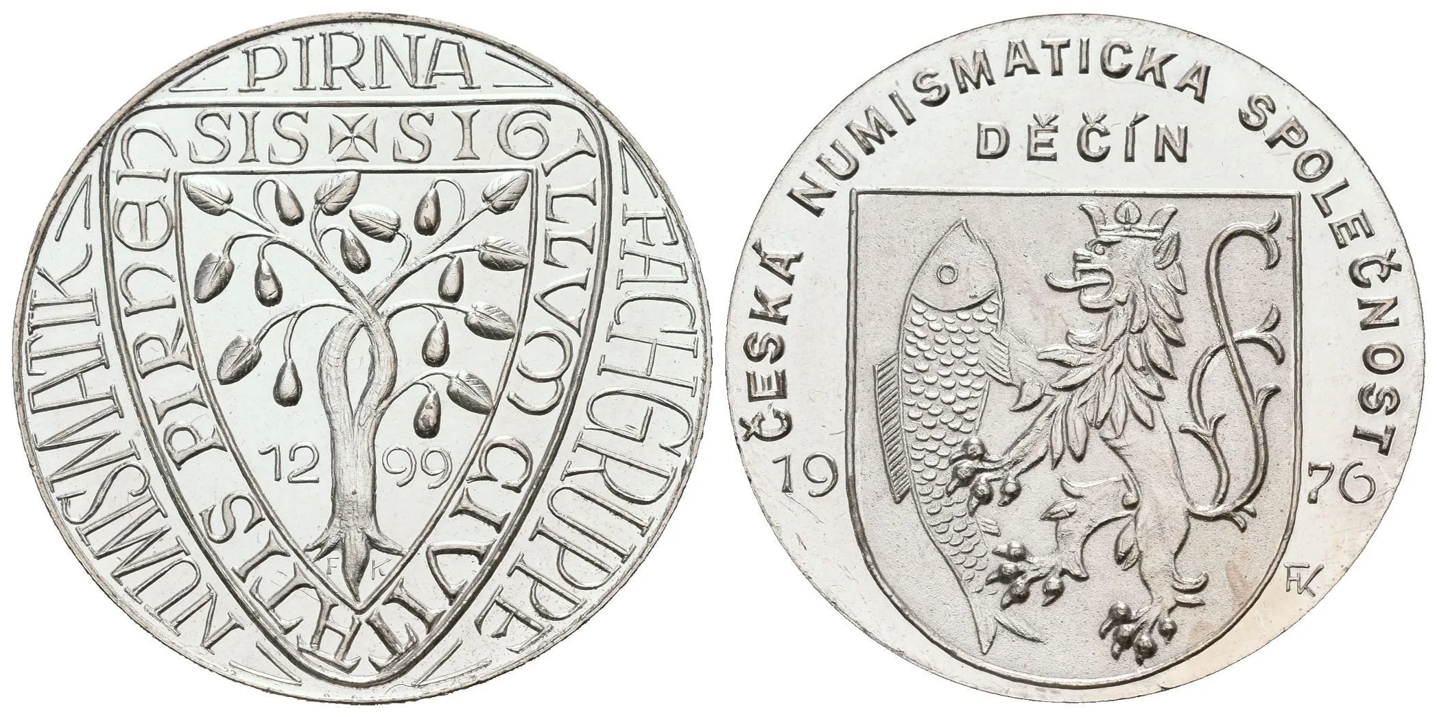 AE Medaile 1976 - Přátelství a spolupráce s Pirnou 1976. Postř. bronz 32 mm — 1