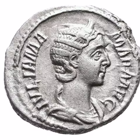 Denár, Rv: VESTA, stojící Vesta zleva drží palladium a žezlo, RIC.360 (Alex. Severus),