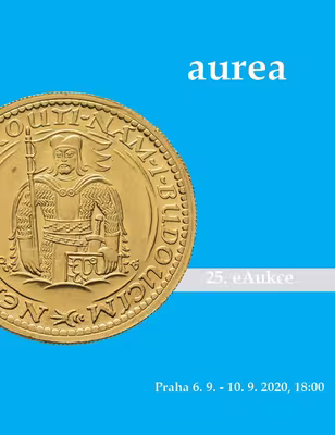 25. eAukce