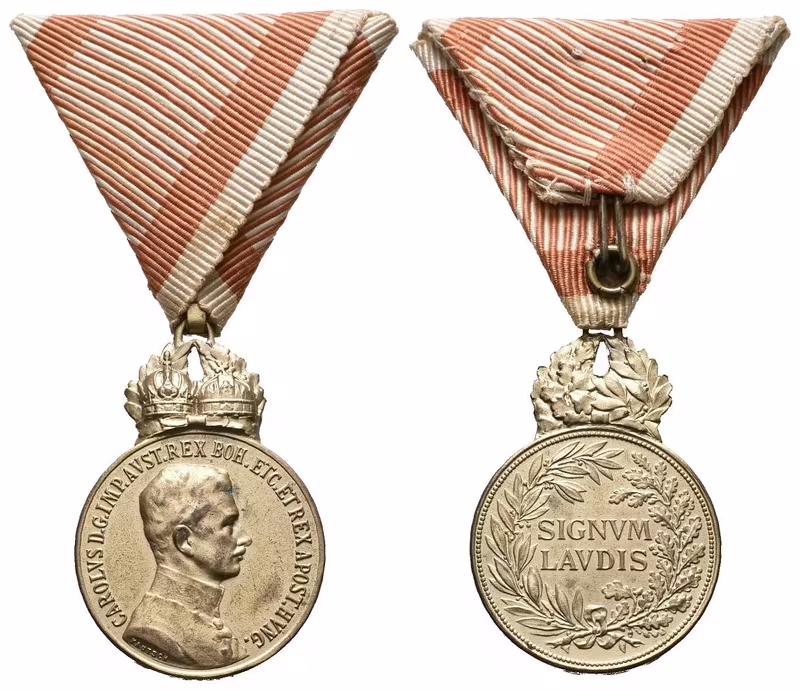 Signum Laudis, Karlova bronzová medaile