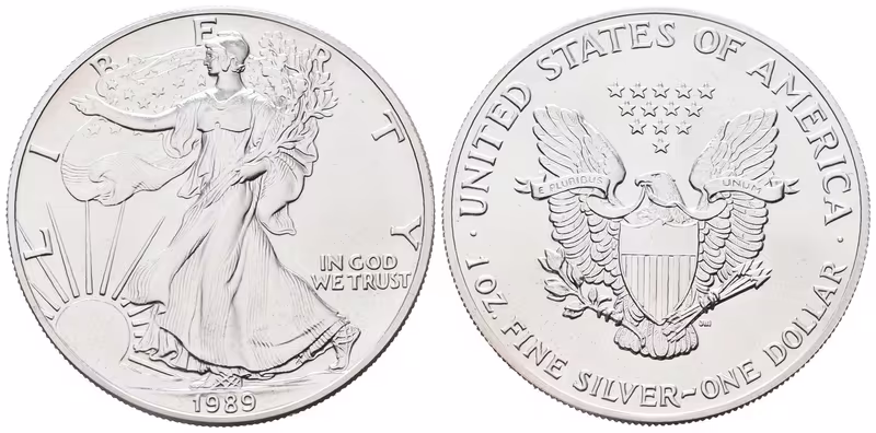 USA, American Eagle 1989
