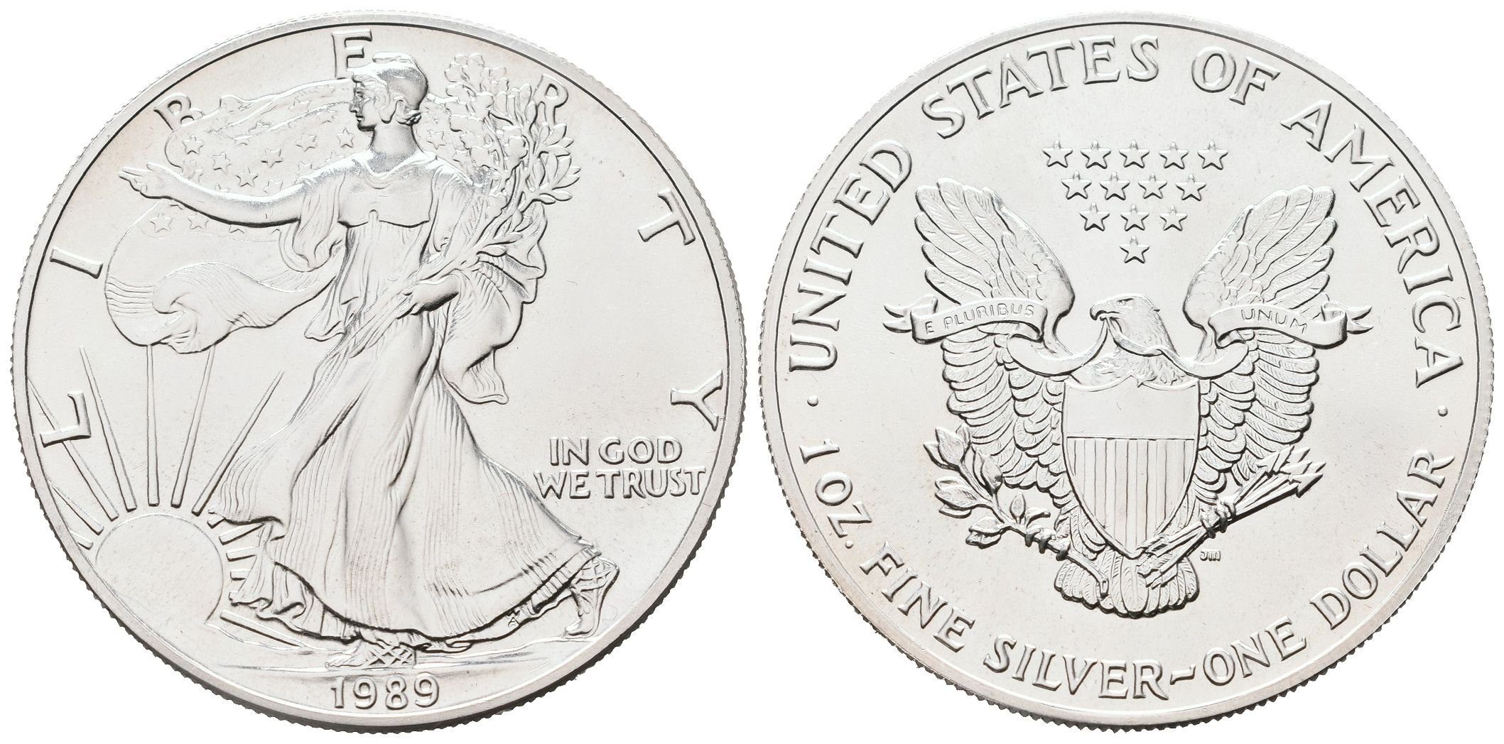USA, American Eagle 1989