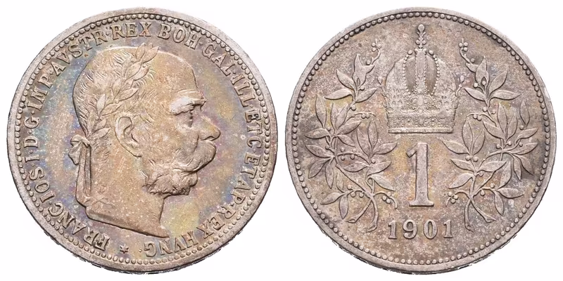 1 Koruna 1901