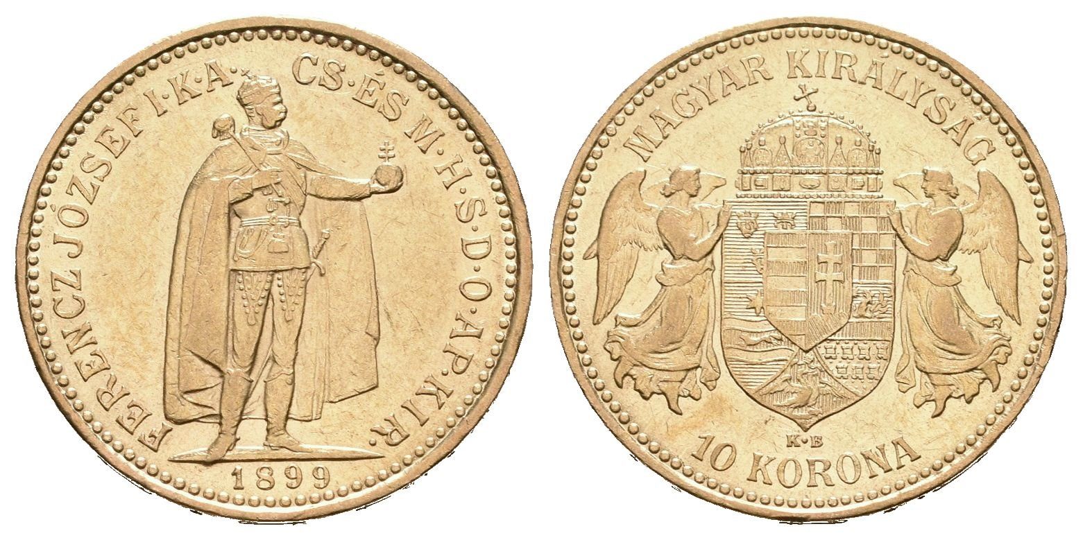 10 Koruna 1899 KB
