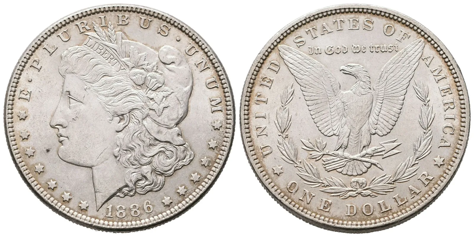 USA, 1 Dollar 1886