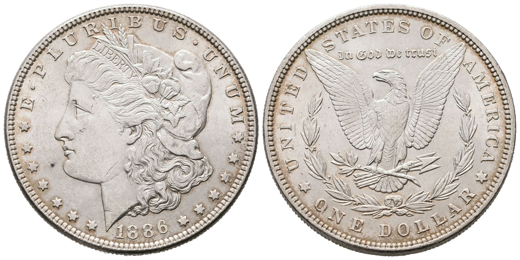 USA, 1 Dollar 1886