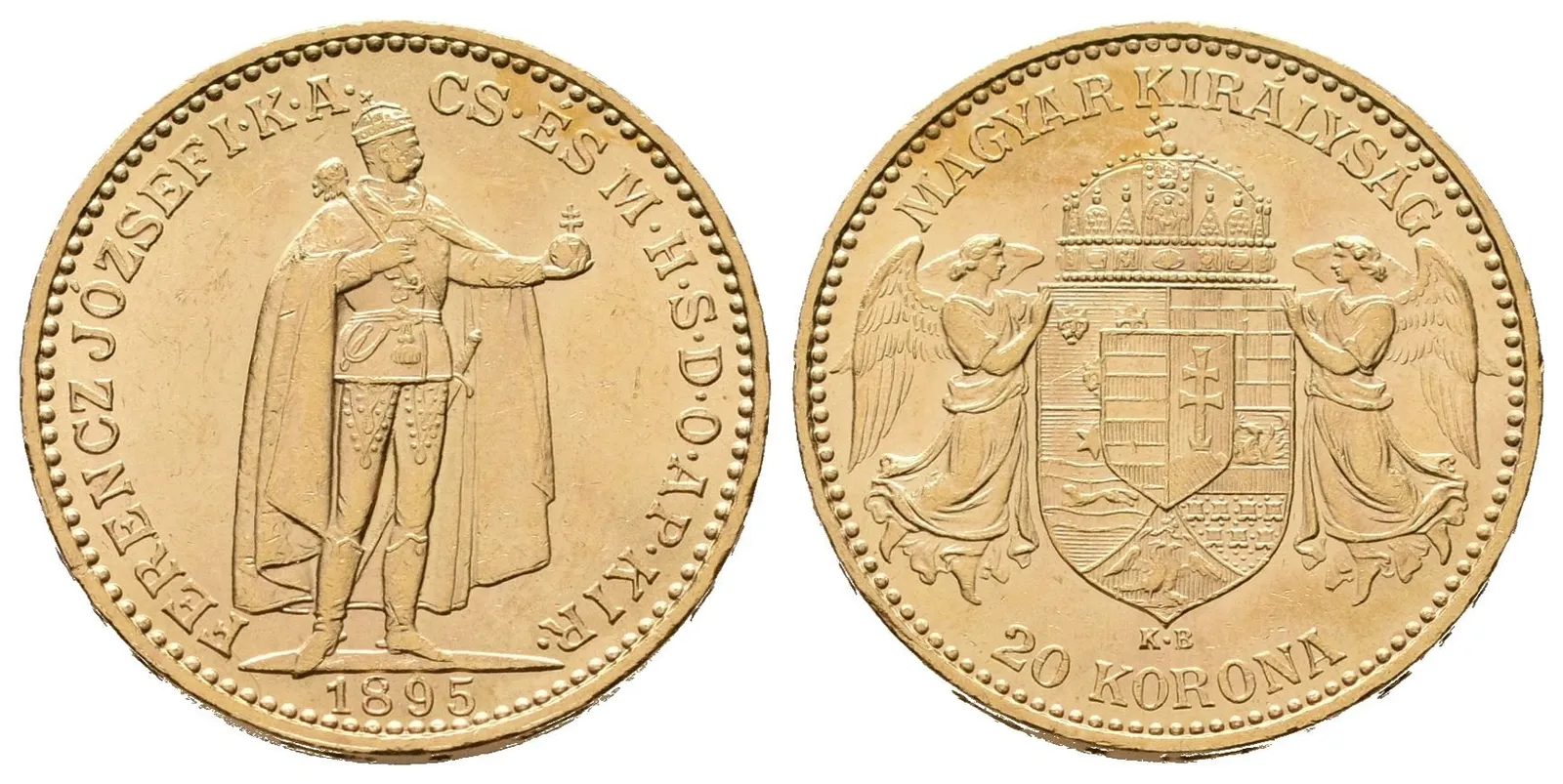 20 Koruna 1895 KB
